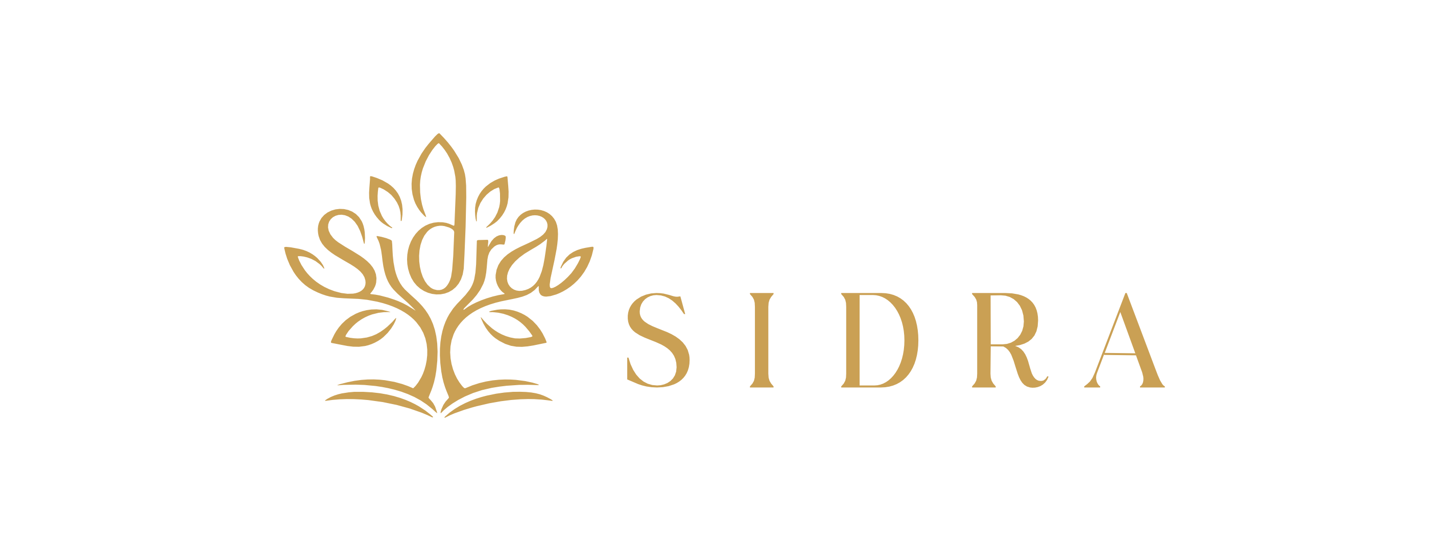 Institut Sidra